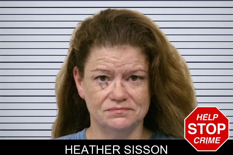 Heather Sisson mugshot