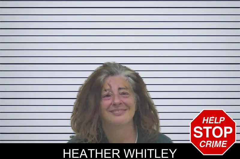 Heather Whitley mugshot