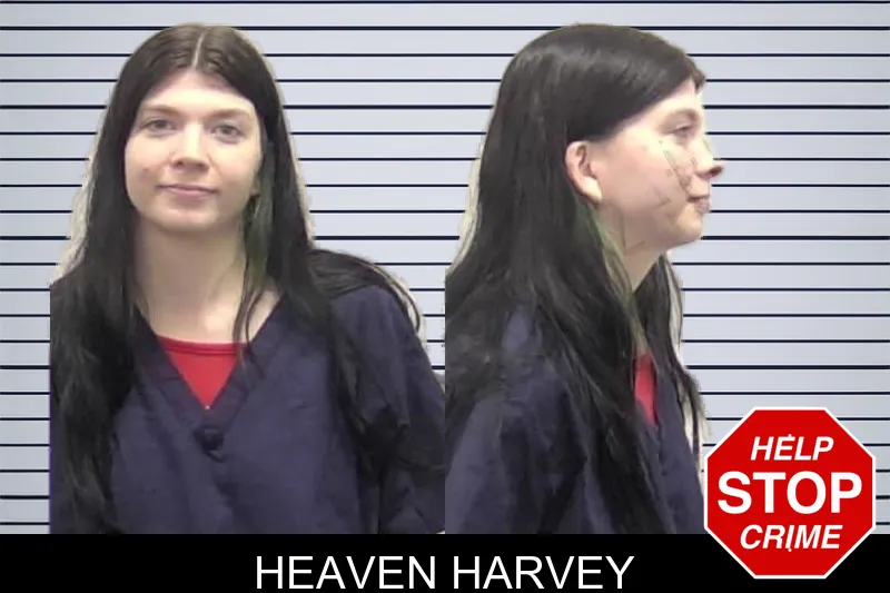 Heaven Harvey mugshot