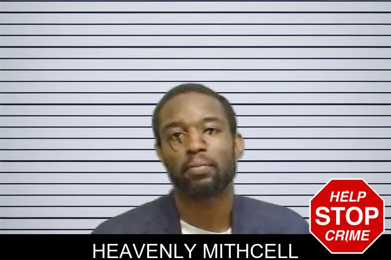 Heavenly Mithcell mugshot