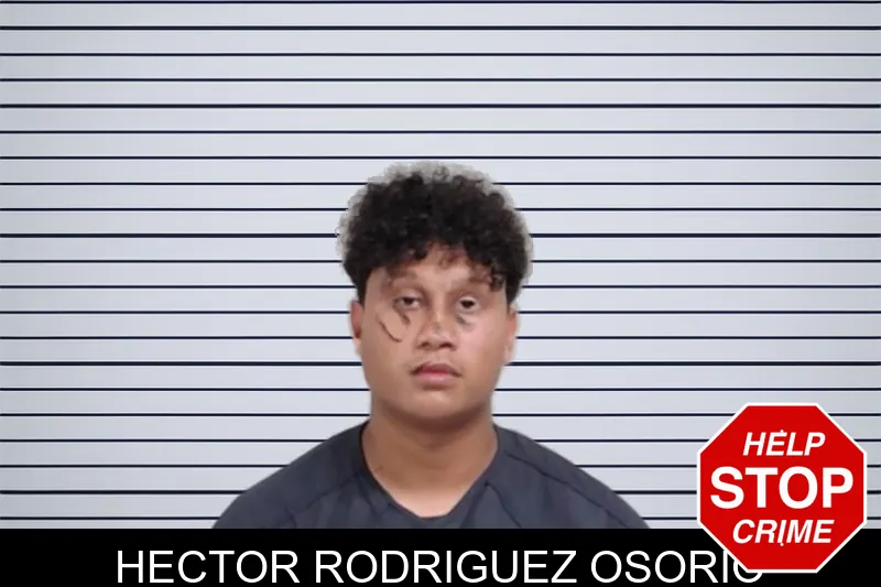 Hector Rodriguez Osorio mugshot – Lowndes County , Georgia Hector Rodriguez Osorio mugshot