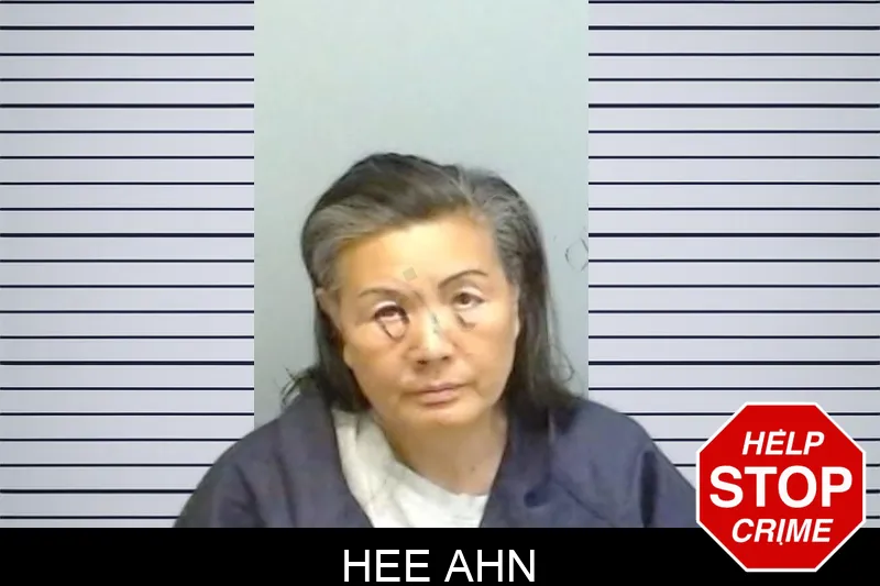 Hee Ahn mugshot