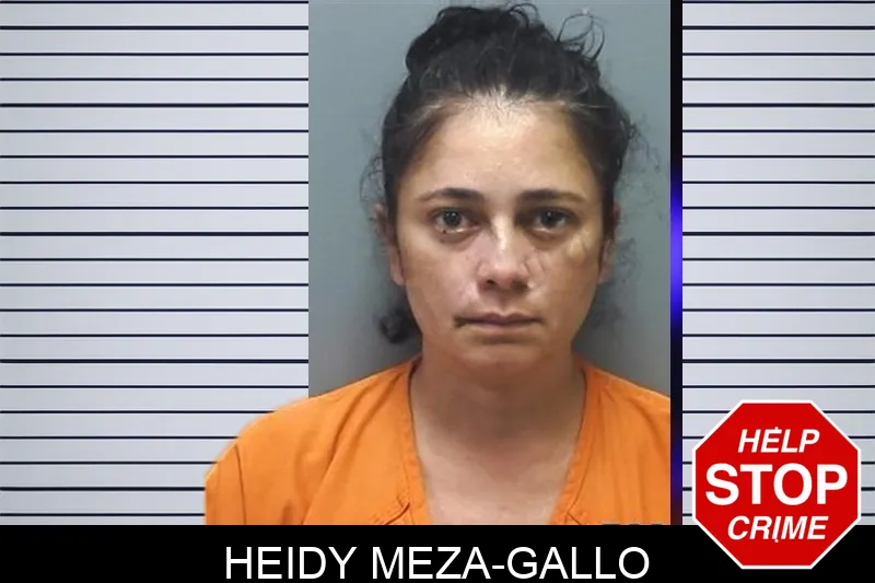 Heidy Meza-Gallo mugshot