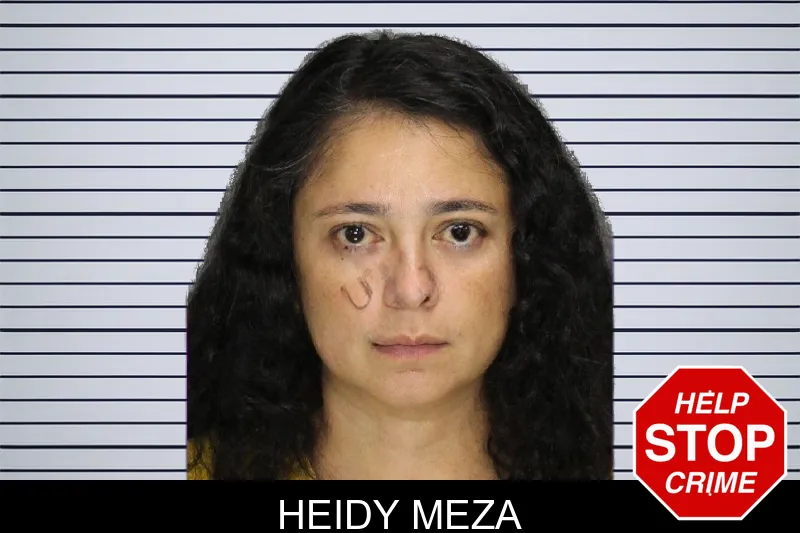 Heidy Meza mugshot