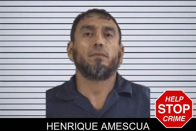 Henrique Amescua mugshot