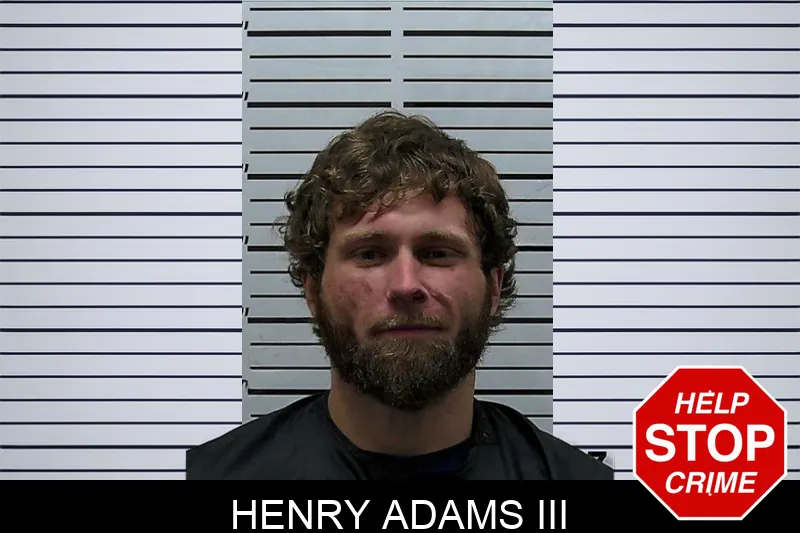 Henry Adams III mugshot
