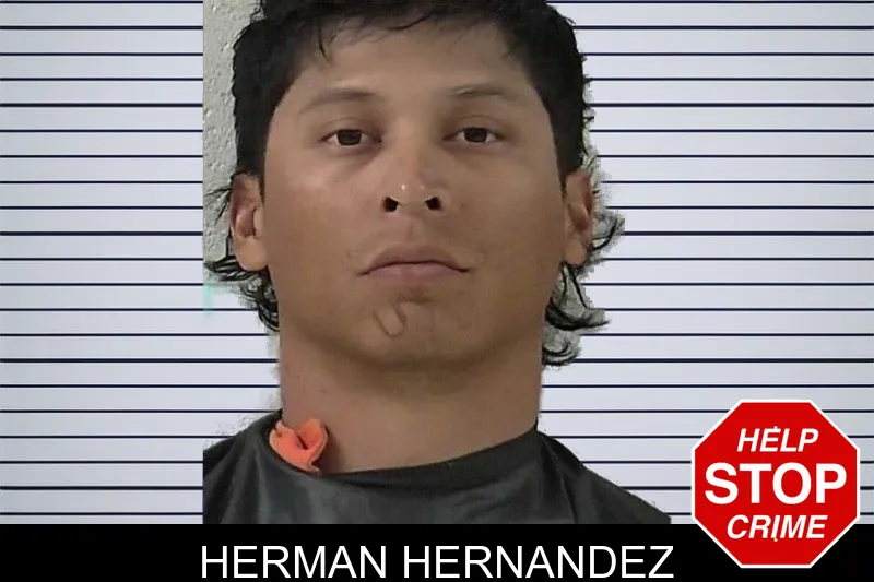 Herman Hernandez mugshot