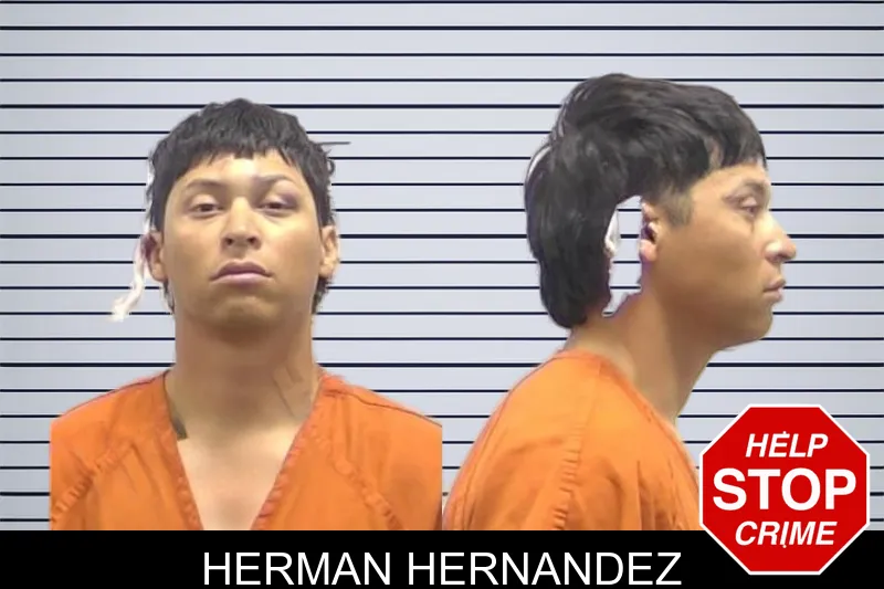 Herman Hernandez mugshot