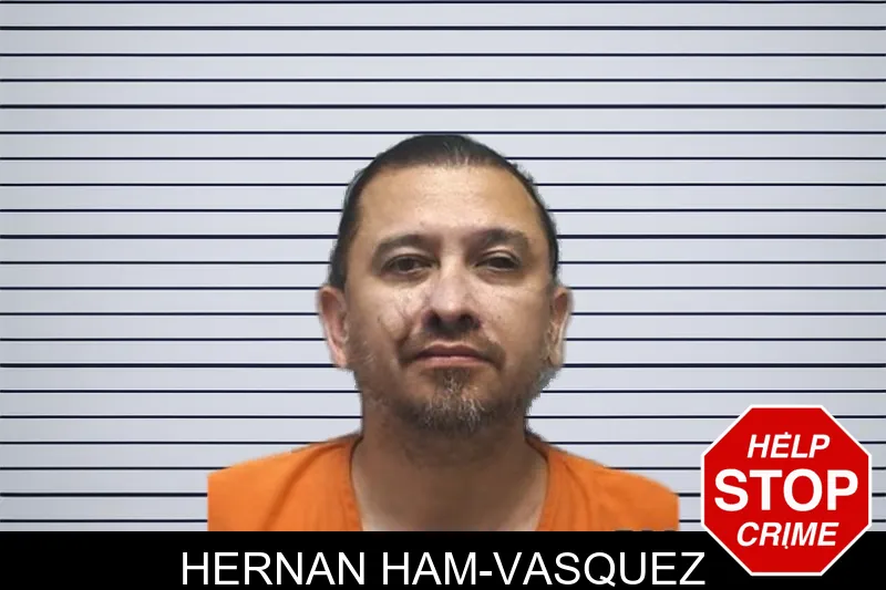 Hernan Ham-Vasquez mugshot