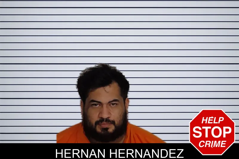 Hernan Hernandez mugshot
