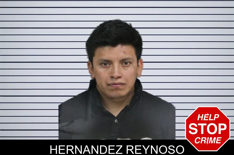 Hernandez Reynoso mugshot