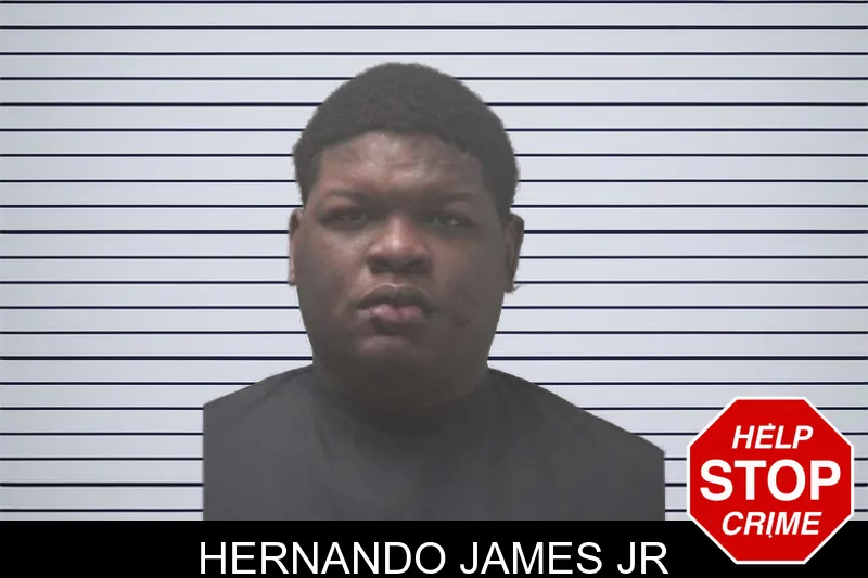 Hernando James Jr mugshot