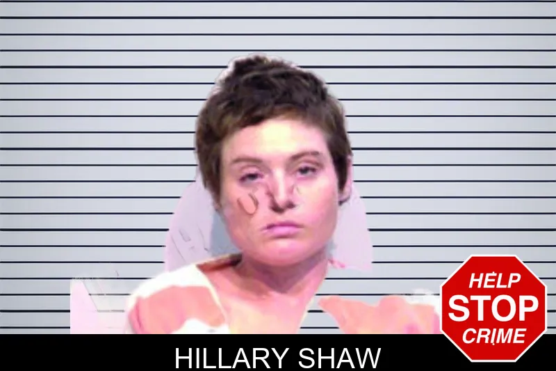 Hillary Shaw mugshot