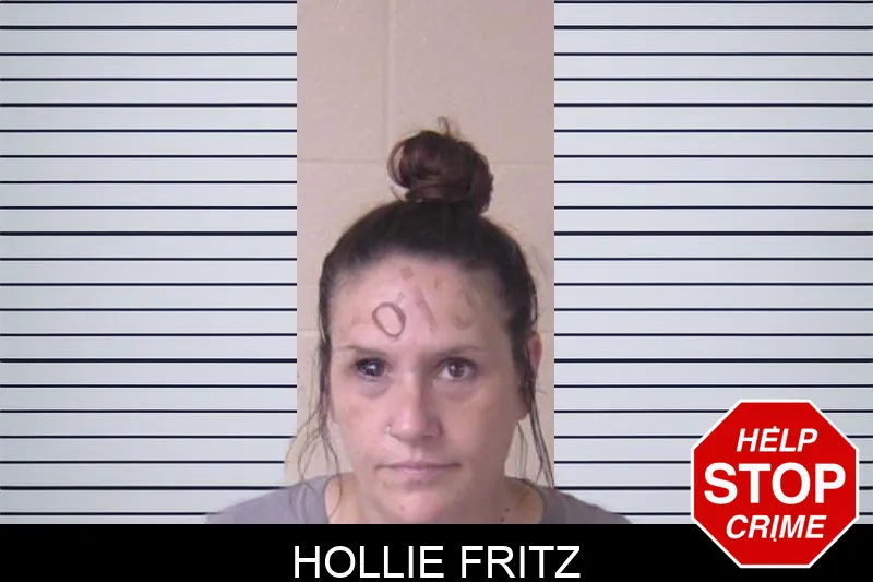 Hollie Fritz mugshot