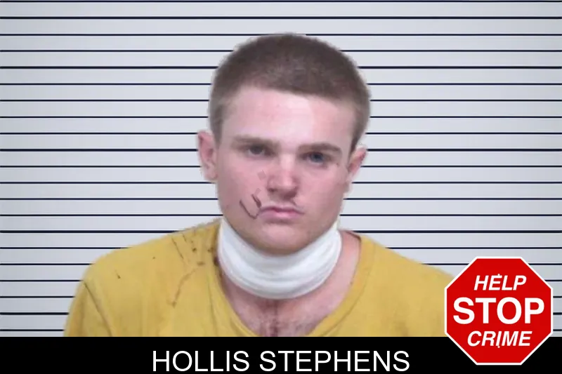 Hollis Stephens mugshot