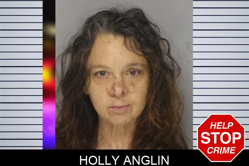 Holly Anglin mugshot
