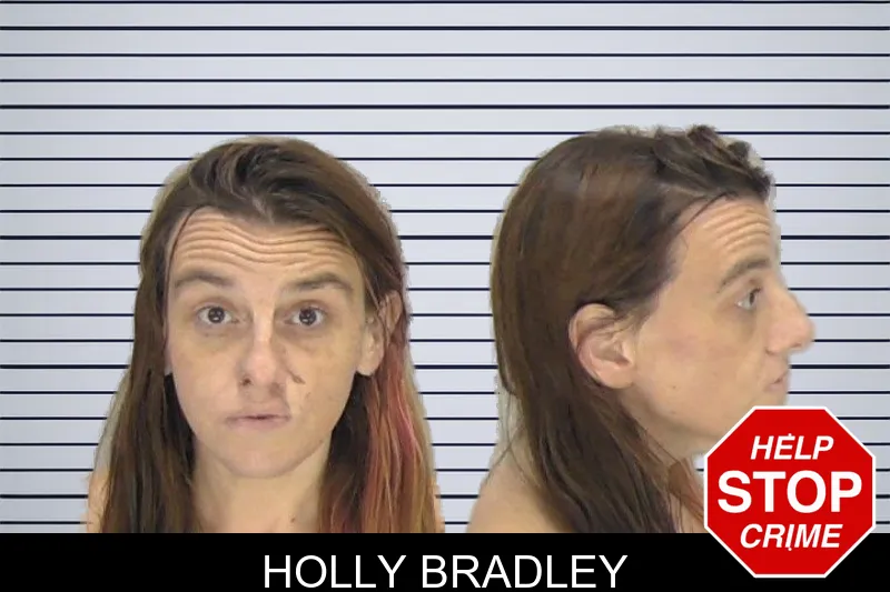 Holly Bradley mugshot
