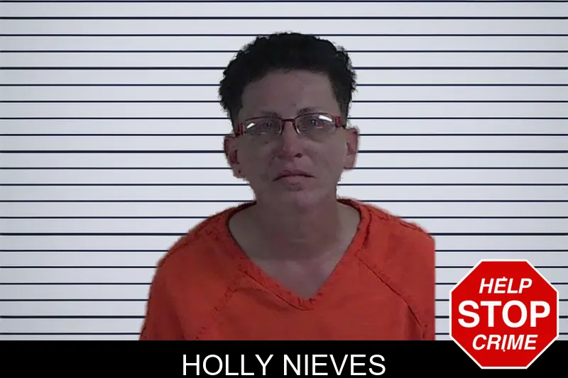 Holly Nieves mugshot