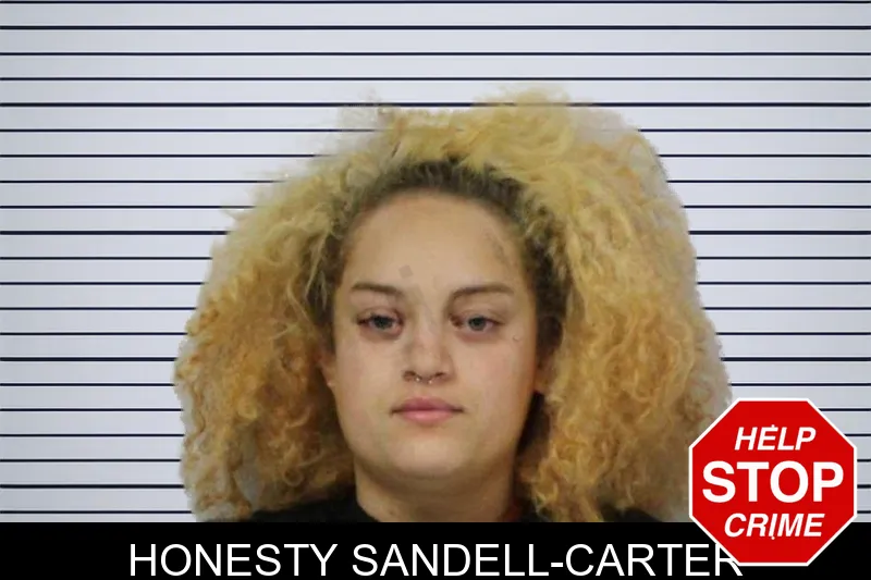 Honesty Sandell-Carter mugshot