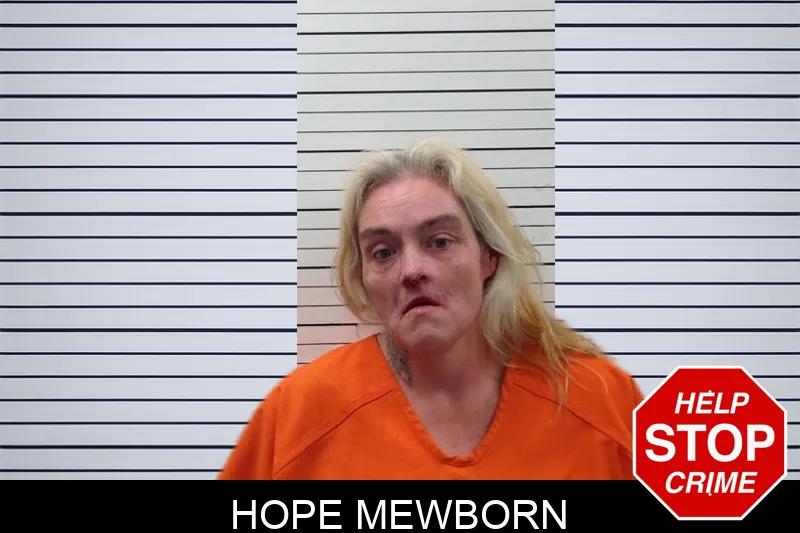 Hope Mewborn mugshot