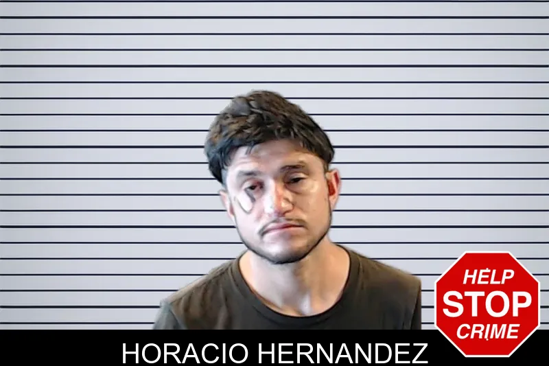 Horacio Hernandez mugshot