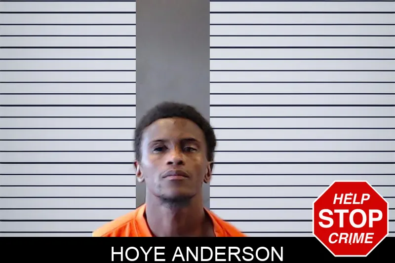 Hoye Anderson mugshot