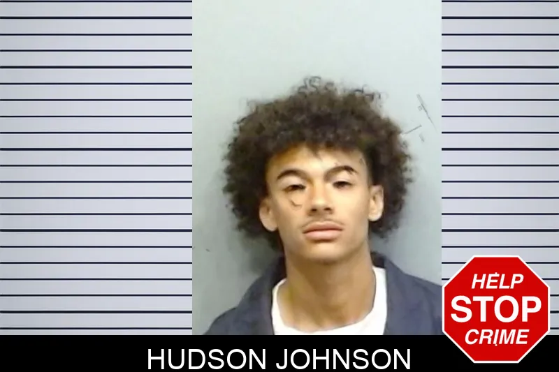 Hudson Johnson mugshot