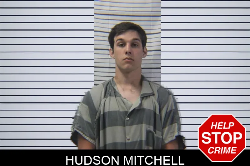 Hudson Mitchell mugshot