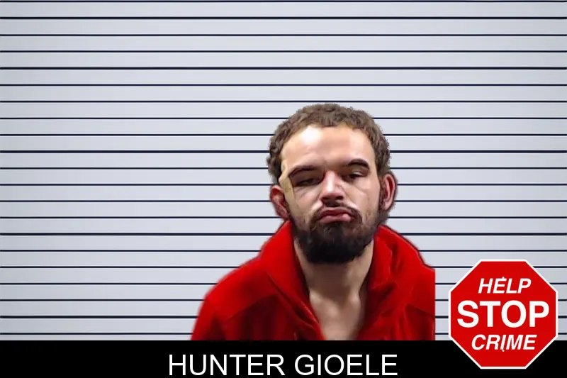 Hunter Gioele mugshot
