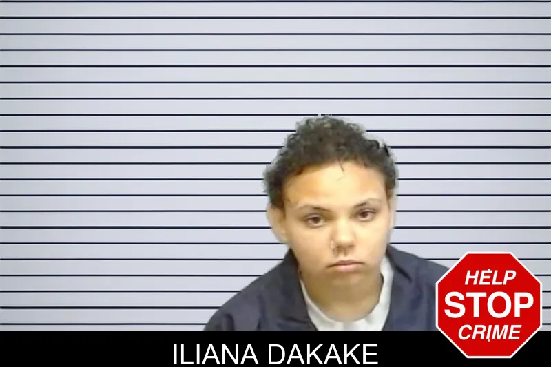 Iliana Dakake mugshot