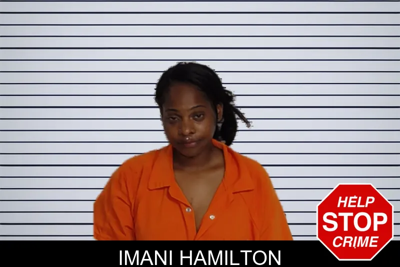 Imani Hamilton mugshot