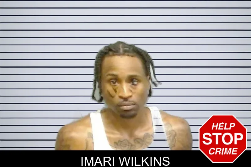Imari Wilkins mugshot