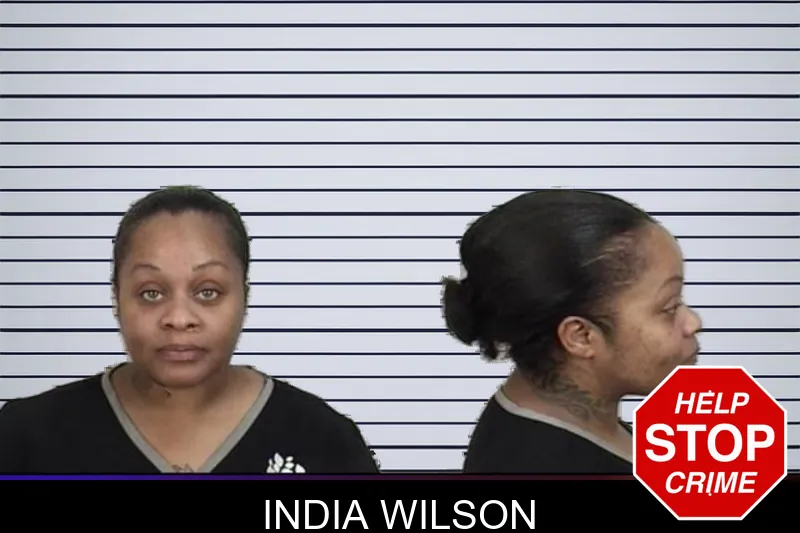 India Wilson mugshot
