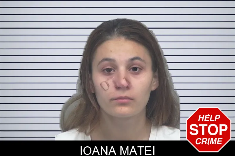 Ioana Matei mugshot