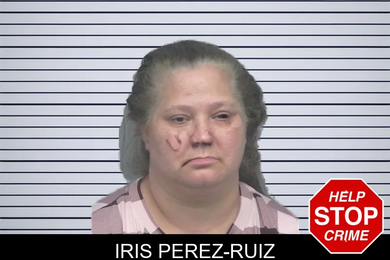 Iris Perez-Ruiz mugshot