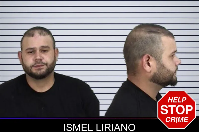 Ismel Liriano mugshot