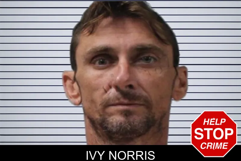 Ivy Norris mugshot