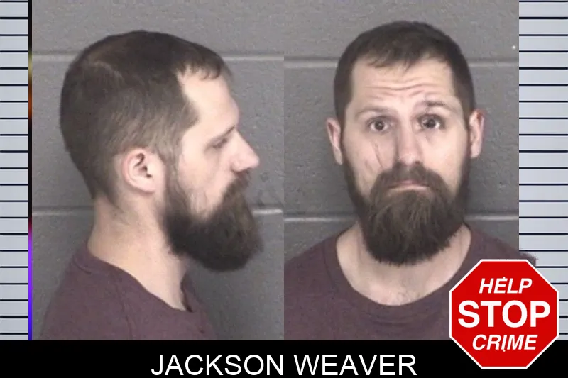 Jackson Weaver mugshot
