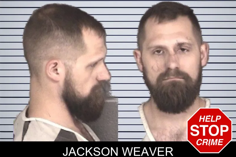 Jackson Weaver mugshot
