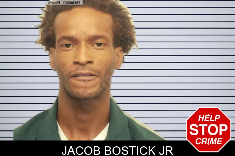 Jacob Bostick Jr mugshot