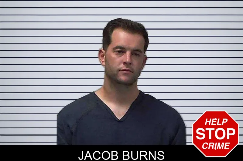 Jacob Burns mugshot