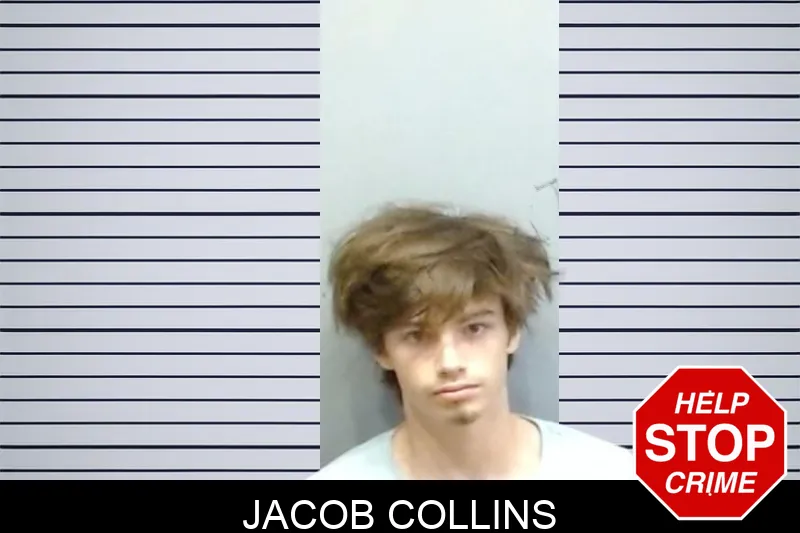 Jacob Collins mugshot