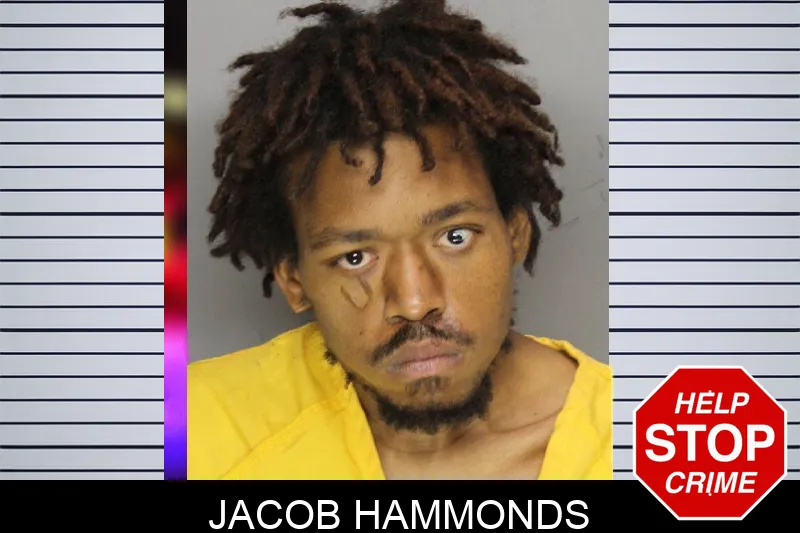Jacob Hammonds mugshot