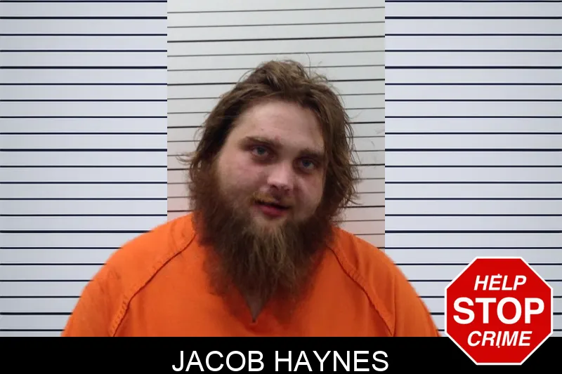 Jacob Haynes mugshot