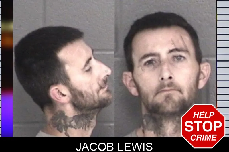 Jacob Lewis mugshot