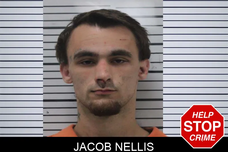 Jacob Nellis mugshot