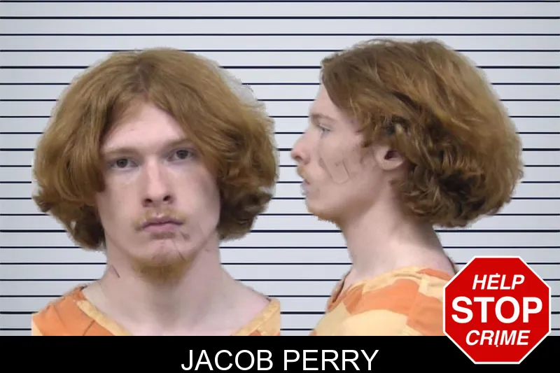 Jacob Perry mugshot