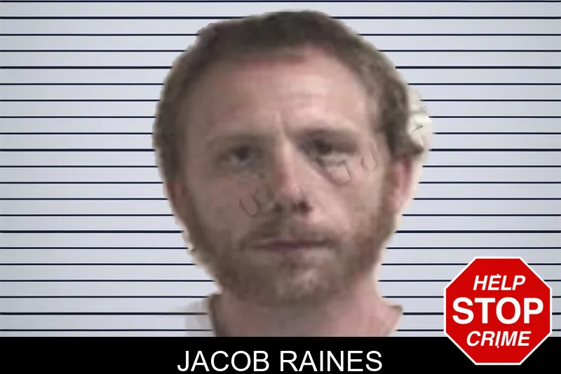 Jacob Raines mugshot
