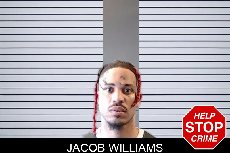 Jacob Williams mugshot
