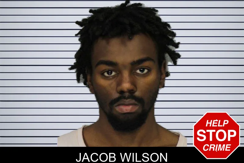 Jacob Wilson mugshot